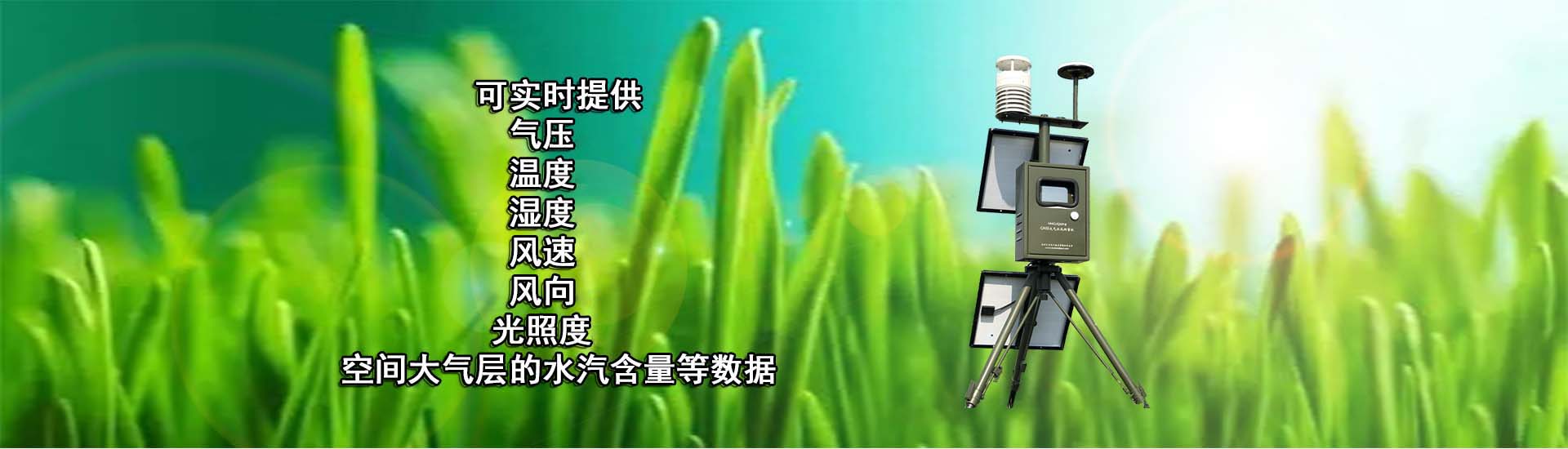 通栏图片